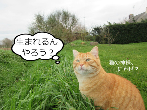 BlogPaint