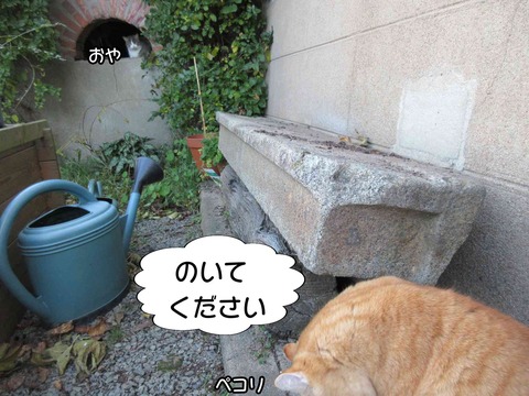 チンピラ 12