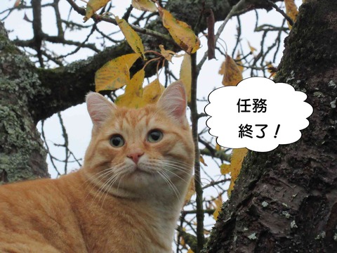 見てる 7