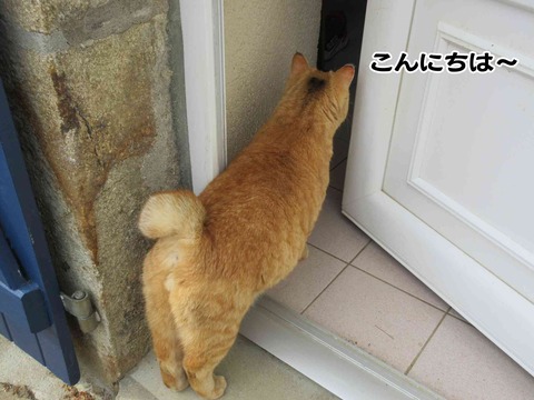 食べる 8