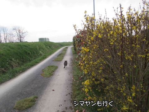 どこへ行く 3