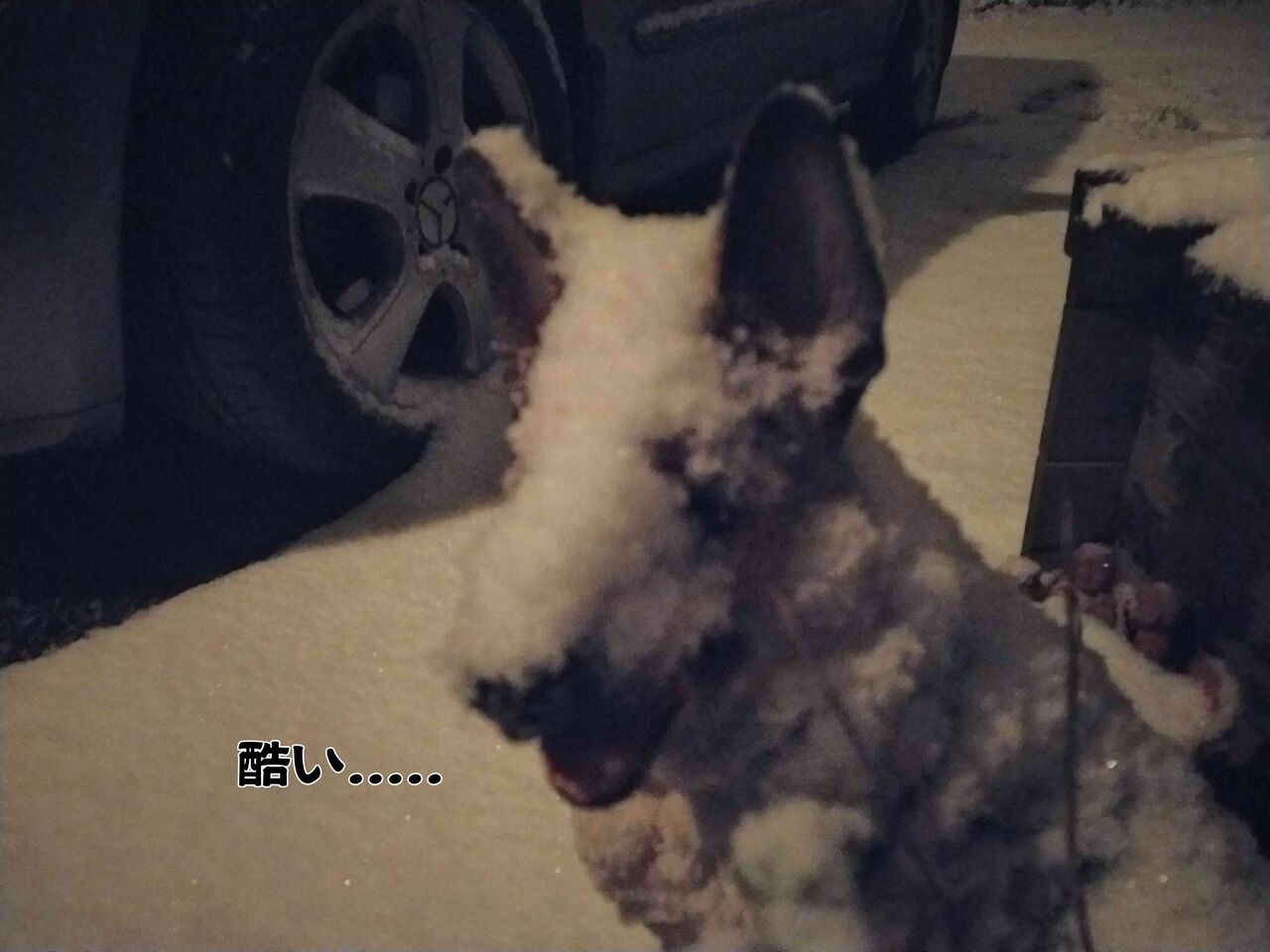 ソワレが要らないフランス暮らし blog jp