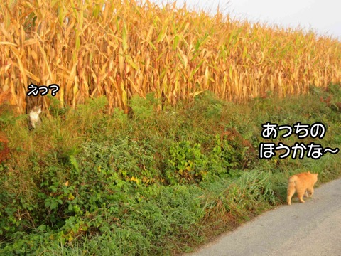 そこ 5