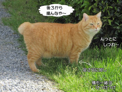 後ろ姿 2