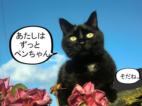 BlogPaint