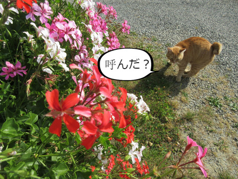 BlogPaint