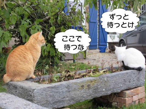 揉める 9