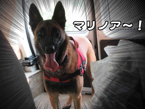 マリノア 1