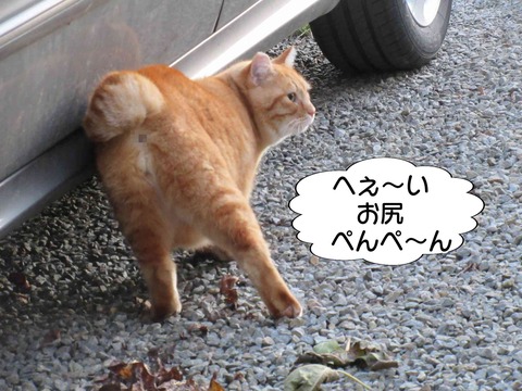 大人の対応 13