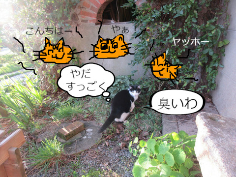 BlogPaint
