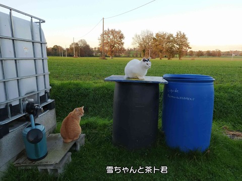 雨 1