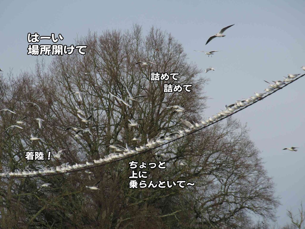 足止めされているサーカス団 ソワレが要らないフランス暮らし