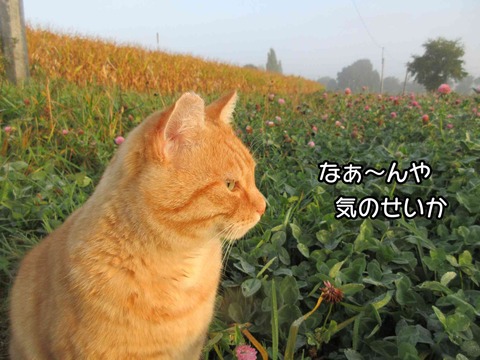 そこ 11