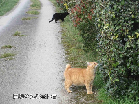 おそろい 1
