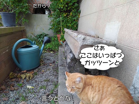 チンピラ 8