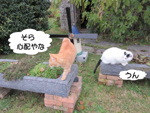 揉める 2