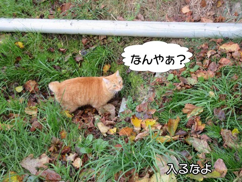 溝 2