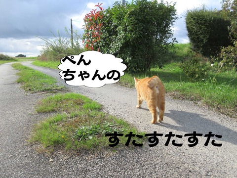 きた 16