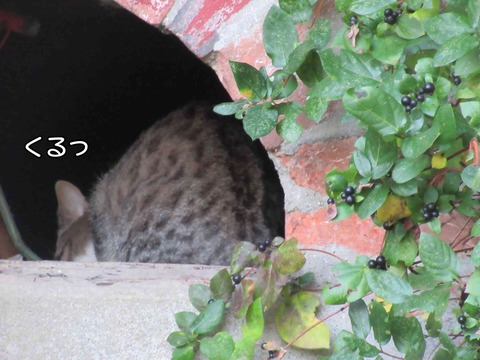 大人の対応 2