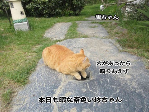 暇 1