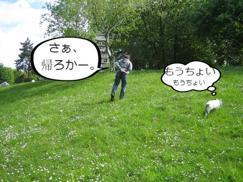 BlogPaint