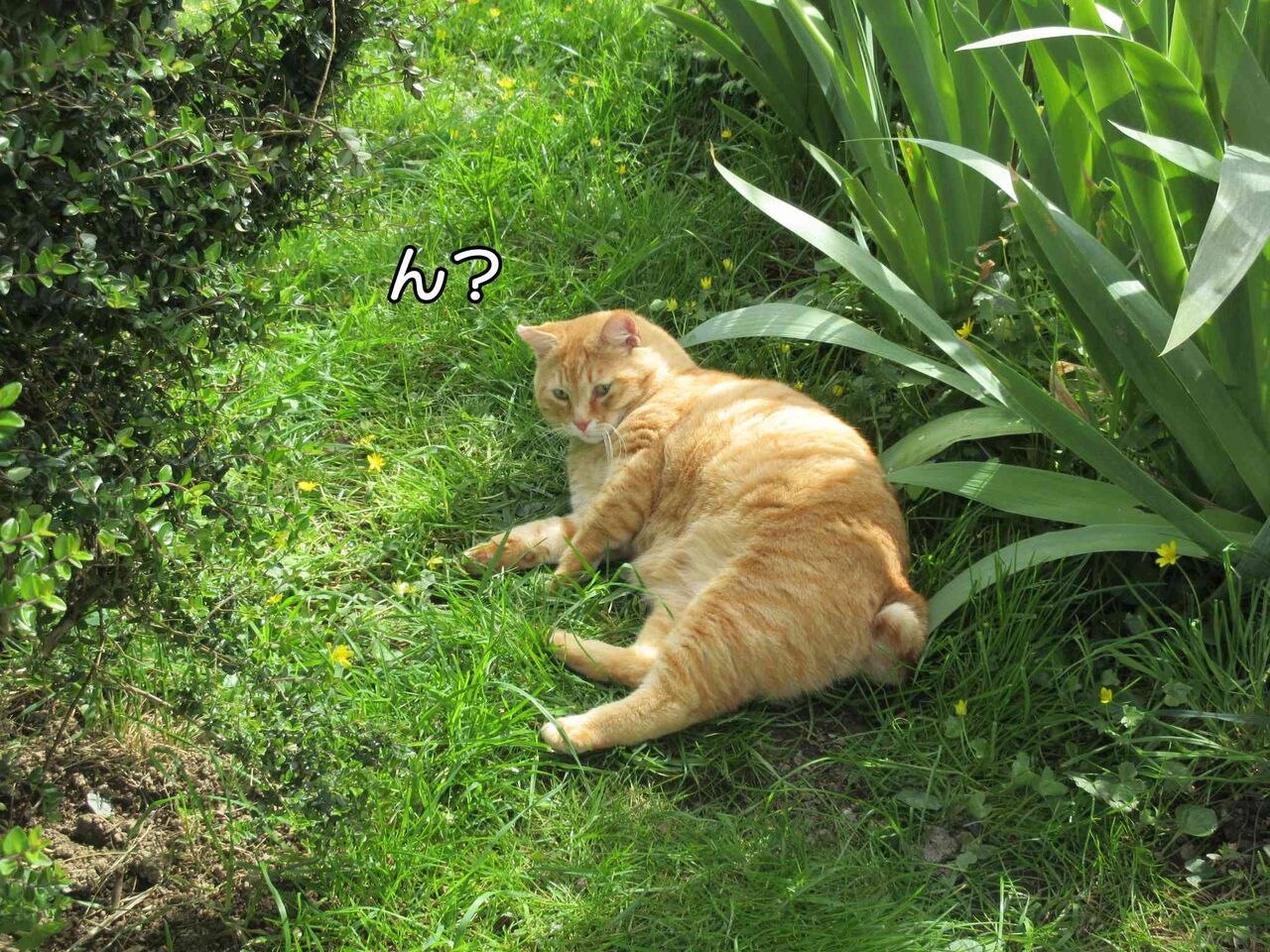 仏大統領選マクロン氏とル ペン氏が決戦投票へ ソワレが要らないフランス暮らし