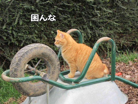 発射台 6
