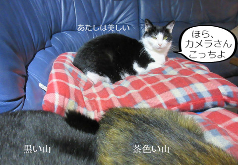 BlogPaint