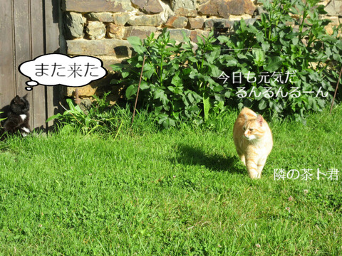 BlogPaint