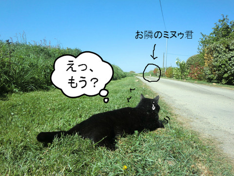 BlogPaint