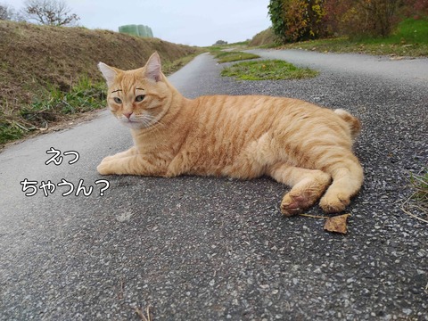 寝転がる 7