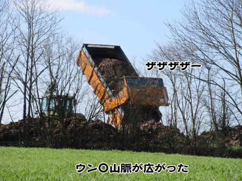 じっとしていられない 10