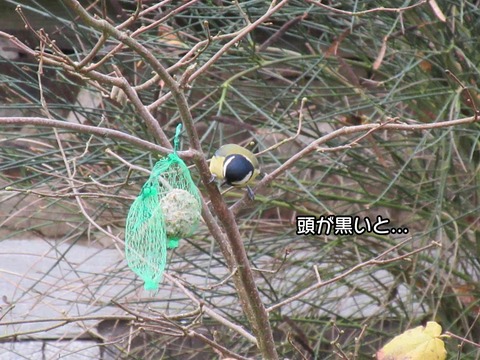 違い 2