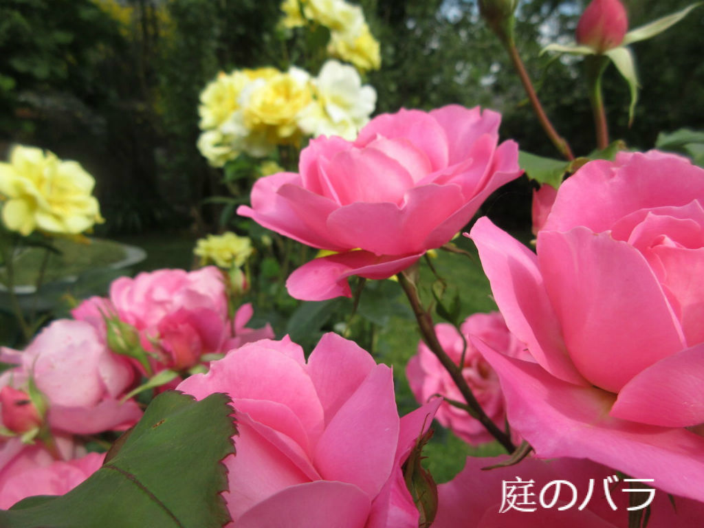 病院なのにたった一人で出産した女性 ソワレが要らないフランス暮らし 病院なのにたった一人で出産した女性 ソワレが要らないフランス暮らし