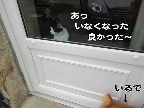 あそぼう 5