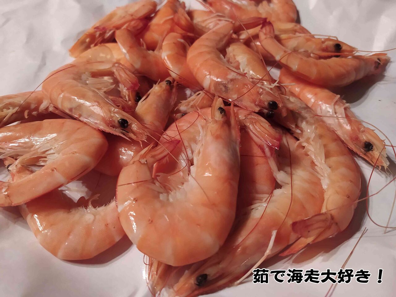 お魚屋さんの写真で簡単更新 ソワレが要らないフランス暮らし お魚屋さんの写真で簡単更新 ソワレが要らないフランス暮らし