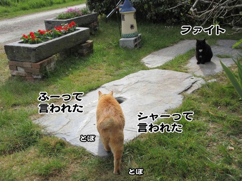 食べる 9
