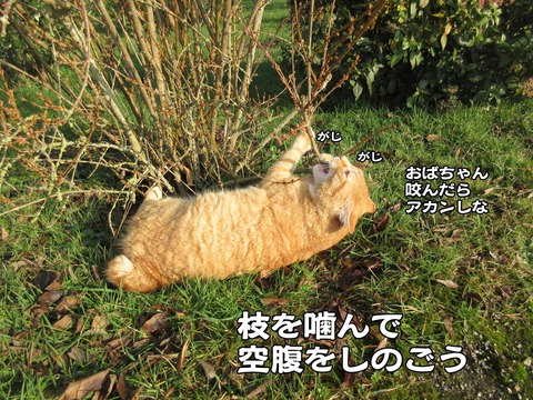 行き倒れ 5
