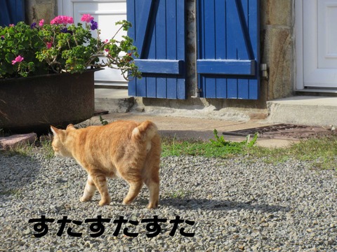 きた 14
