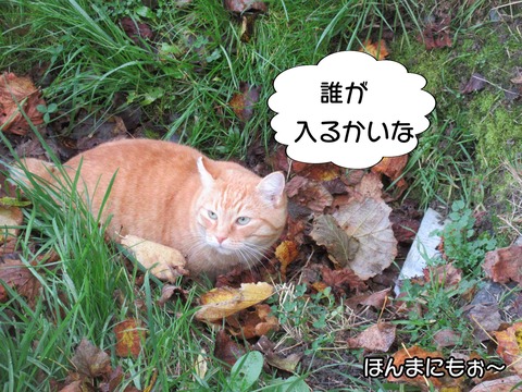 溝 5