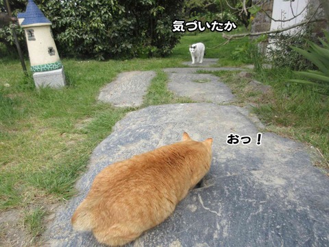 暇 3