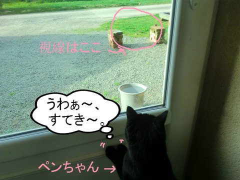 BlogPaint