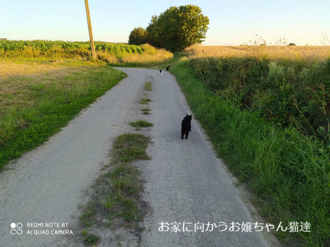 BlogPaint