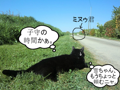 BlogPaint
