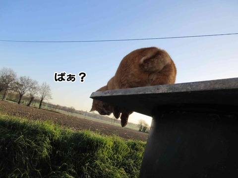 落ちない 2