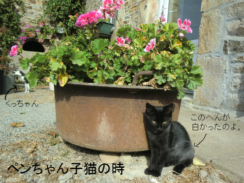 BlogPaint