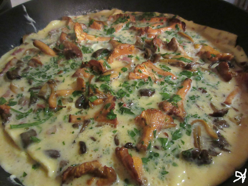 秋です キノコです ソワレが要らないフランス暮らし