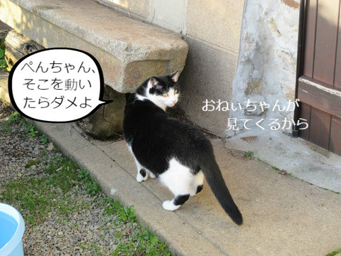 BlogPaint