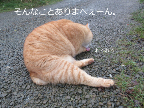 BlogPaint