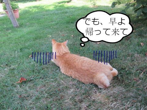 BlogPaint